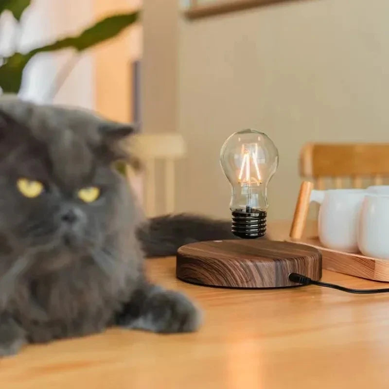 The Floating LED Levitation Lamp